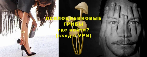 спиды Бронницы