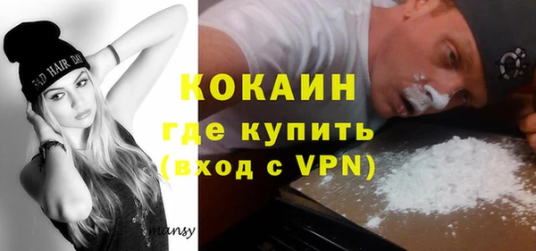 спиды Бородино