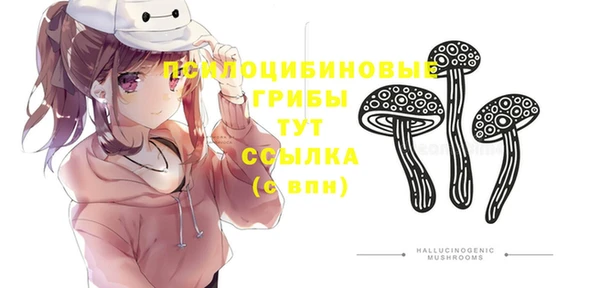 mdpv Бугульма