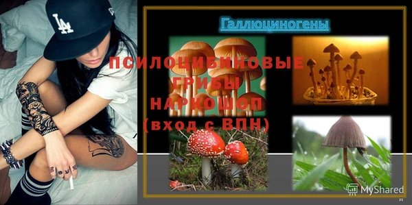 mdpv Бугульма
