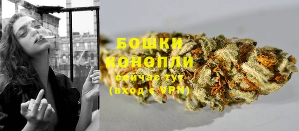 спиды Бронницы