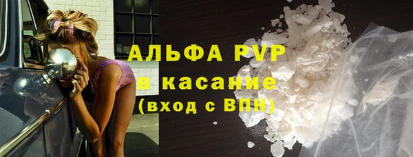 спиды Бородино