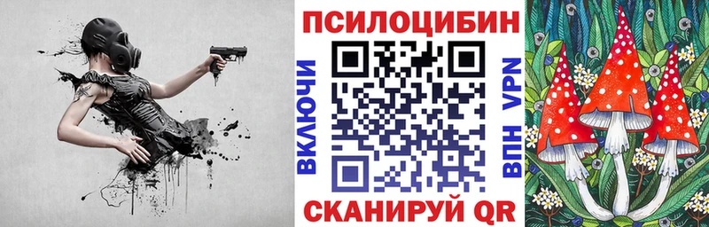 Псилоцибиновые грибы Psilocybe  как найти   Партизанск 