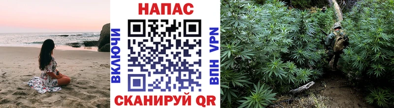 Канабис гибрид  продажа наркотиков  Партизанск 